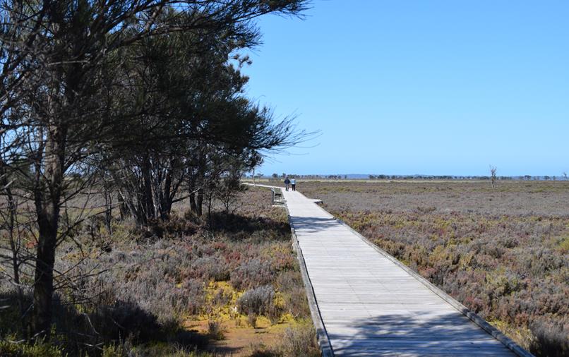 Creery Wetlands Reserve